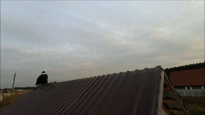 Уплотнение конька кровли