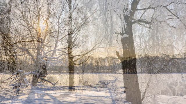 "УТРО ТУМАННОЕ"... (А.Абаза, И.Тургенев) - (Фото Вл. Чистякова (Подольск) - Поёт Георгий Виноградов смотреть онлайн