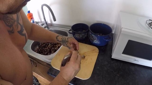 КАК ГОТОВИТЬ ВИНОГРАДНЫХ УЛИТОК ВИНОГРАДНЫЕ УЛИТКИ ГОТОВИМ САМИ НА ДОЛЖАНКЕ смотреть онлайн