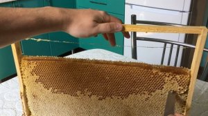 Как правильно разрезать мед в сотах (рамка)