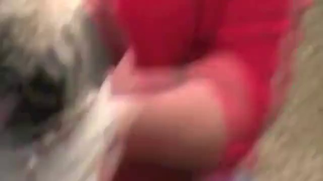 Мопс - истеричка смотреть онлайн