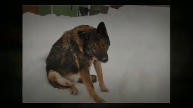 Оживление фотографий смотреть онлайн