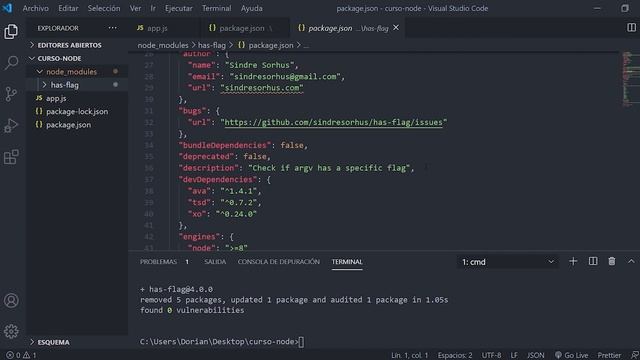 #6 - NODE JS - ¿Qué es NODE_MODULES? - Introducción práctica PASO A PASO смотреть онлайн