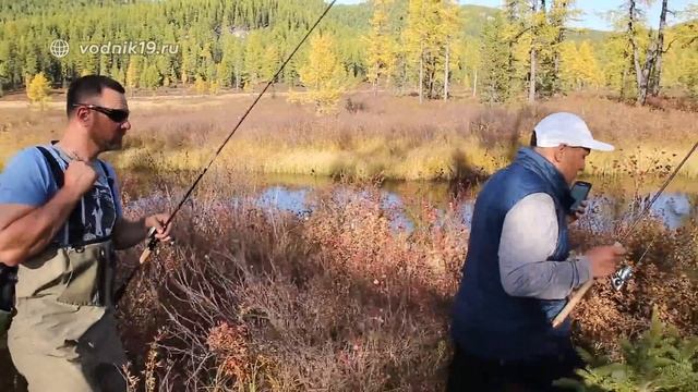 БЕШЕНЫЙ КЛЕВ РЫБЫ НА ГОРНОМ ОЗЕРЕ #16 Рыбалка на спининг. Ленок, хариус и таймень смотреть онлайн