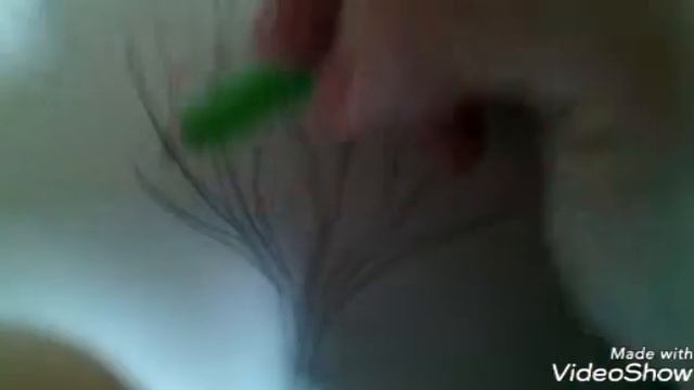 как нарисовать дерево смотреть онлайн