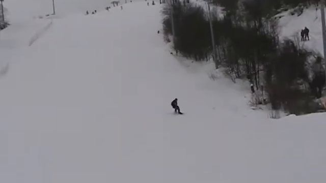 Воленские зайчики, или Австралийские тушканы смотреть онлайн