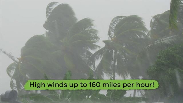 Top 10 Natural Disasters for Kids смотреть онлайн