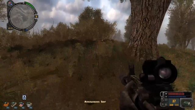 S.T.A.L.K.E.R. - Долина Шорохов. No.7 Туристы (КОНЕЦ) смотреть онлайн