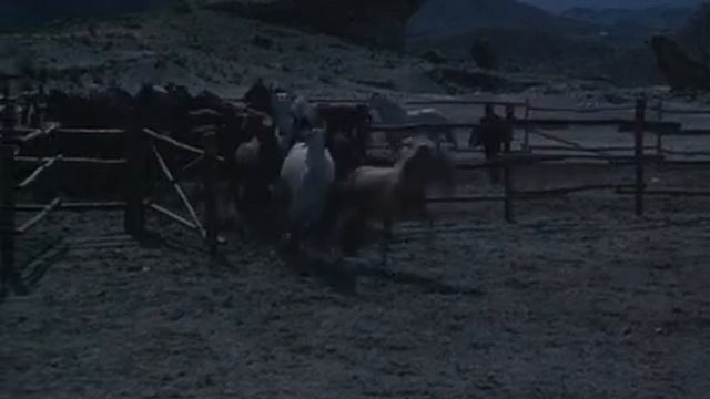 Верёвка и кольт. смотреть онлайн