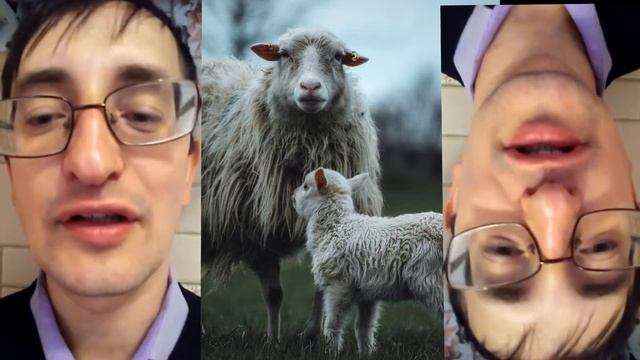 20 05 2020 Сказка про барана