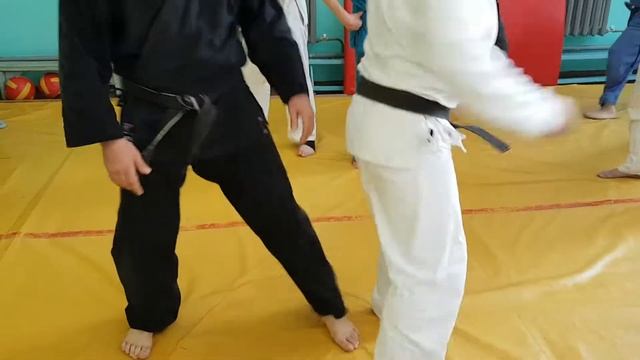 СЕМИНАР АЛЕКСА КРЕТОВА 6 ДАН БУШИНКАН ДЖИУ ДЖИТСУ смотреть онлайн