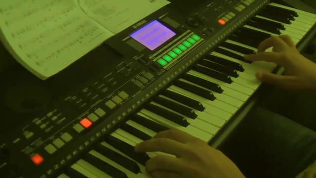 Rafał Brzozowski-Tak blisko Keyboard YAMAHA PSR -S550 смотреть онлайн