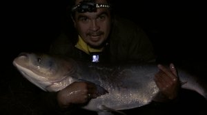 Трофейная ловля толстолобика ранней весной..