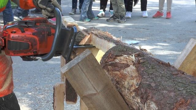 Säker motorsågshantering med Husqvarna 4 sept 2016 смотреть онлайн