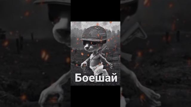 Чина–(speed Up)1.5