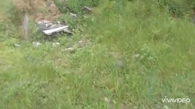 Караваевы Дачи смотреть онлайн