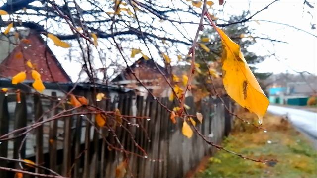 Ирена Буланова "Осень" смотреть онлайн