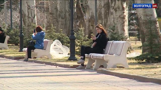 Центр Волгограда встречает весну новыми дизайнерскими решениями смотреть онлайн
