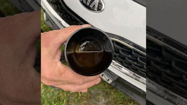 Oil Catch Can pe Kia Sportage 4 (QL/QLE) 1.6 GDI #kiasportage #oilcatchcan смотреть онлайн