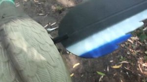 Обзор на махокрыла (селезень, утка)