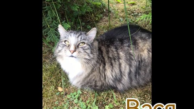 Знакомство