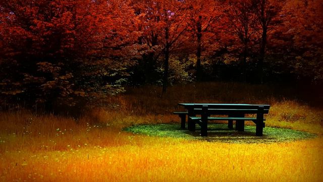 Come Back смотреть онлайн