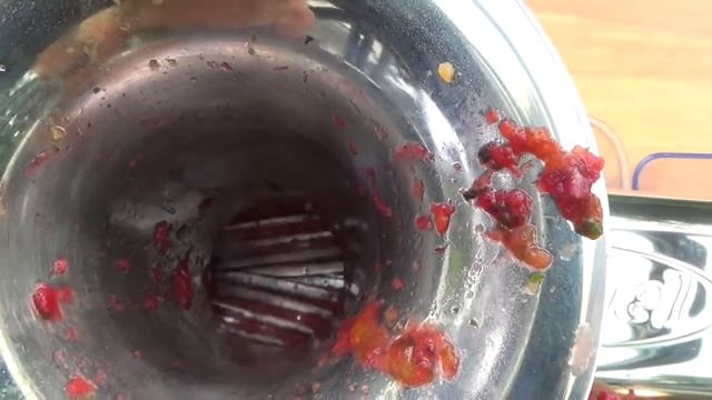 Entsaften mit dem Angel Juicer 5500 (Teil 2) смотреть онлайн