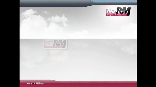 ProRM Business Solutions: Vision, Concepts And Business Impact