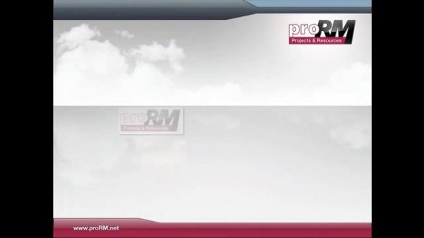 proRM Business Solutions: Vision, Concepts and Business Impact