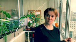 Как пересадить грецкий орех? Опыты начинающего огородника.