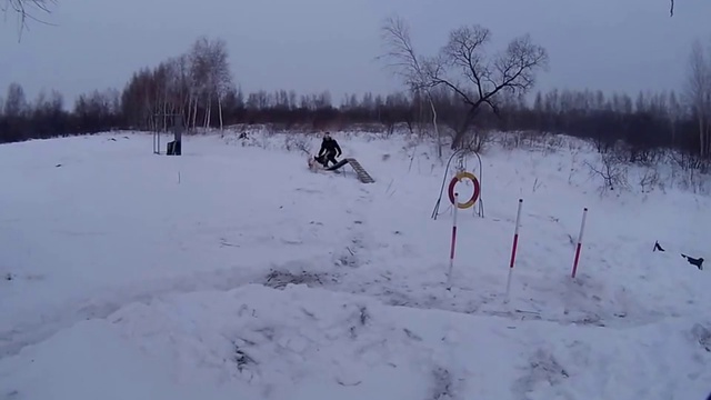 Аджилити зимой