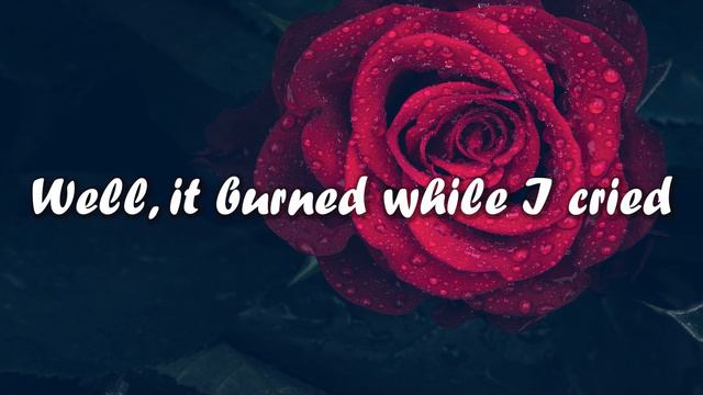 Adele - Set Fire To The Rain (Lyrics) смотреть онлайн