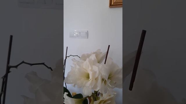 Что такое песель, для чего он нужен смотреть онлайн