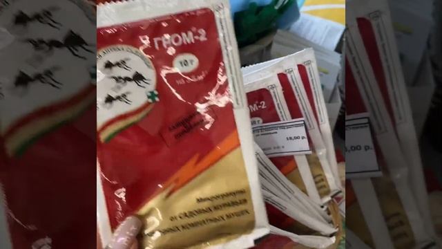 Инструкция по уходу за цитрусовыми и экзотическими растениями после покупки. Часть 1 смотреть онлайн