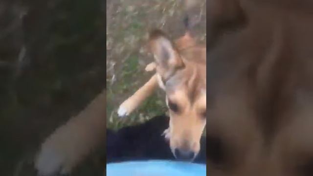 202010 Свити смотреть онлайн