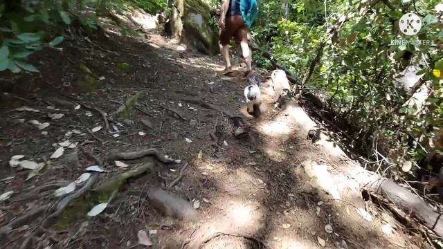 ВПЕРВЫЕ ОТКАЗАЛАСЬ ОТ ПРЕДЛОЖЕНИЯ ИЗ-ЗА ДОМА смотреть онлайн