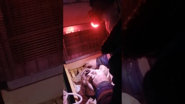 Состояние пчёл после зимовки.Двухратная обработка щавелевой кислотой. Результат? смотреть онлайн