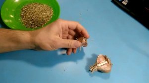 ★★ Тыквенные семечки от глистов. Рецепты лечения паразитов  семенами тыквы. Средство от гельминтов.