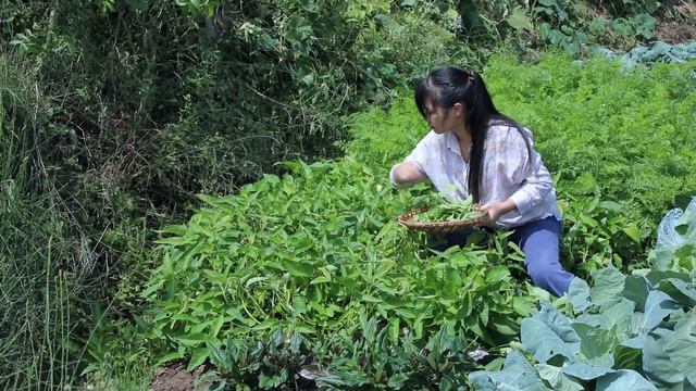 【二米炊烟】Pickles 7個月時間，腌制一罐老壇酸菜：酸菜魚/腌菜扣肉/鹽菜毛豆...