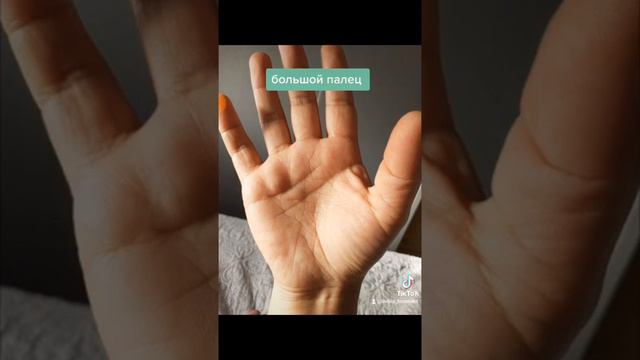 большой палец смотреть онлайн