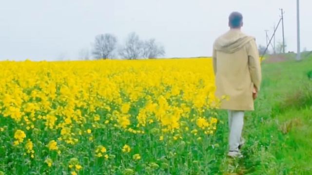 Kalimba de Sun - Олексій Пономарьов смотреть онлайн