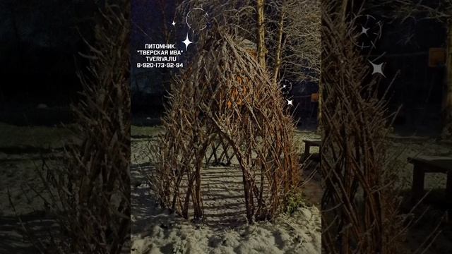 ❄️Ты рядом и всё прекрасно!❄️ Сказочный вечер в питомнике "ТВЕРСКАЯ ИВА" tveriva.ru ? смотреть онлайн