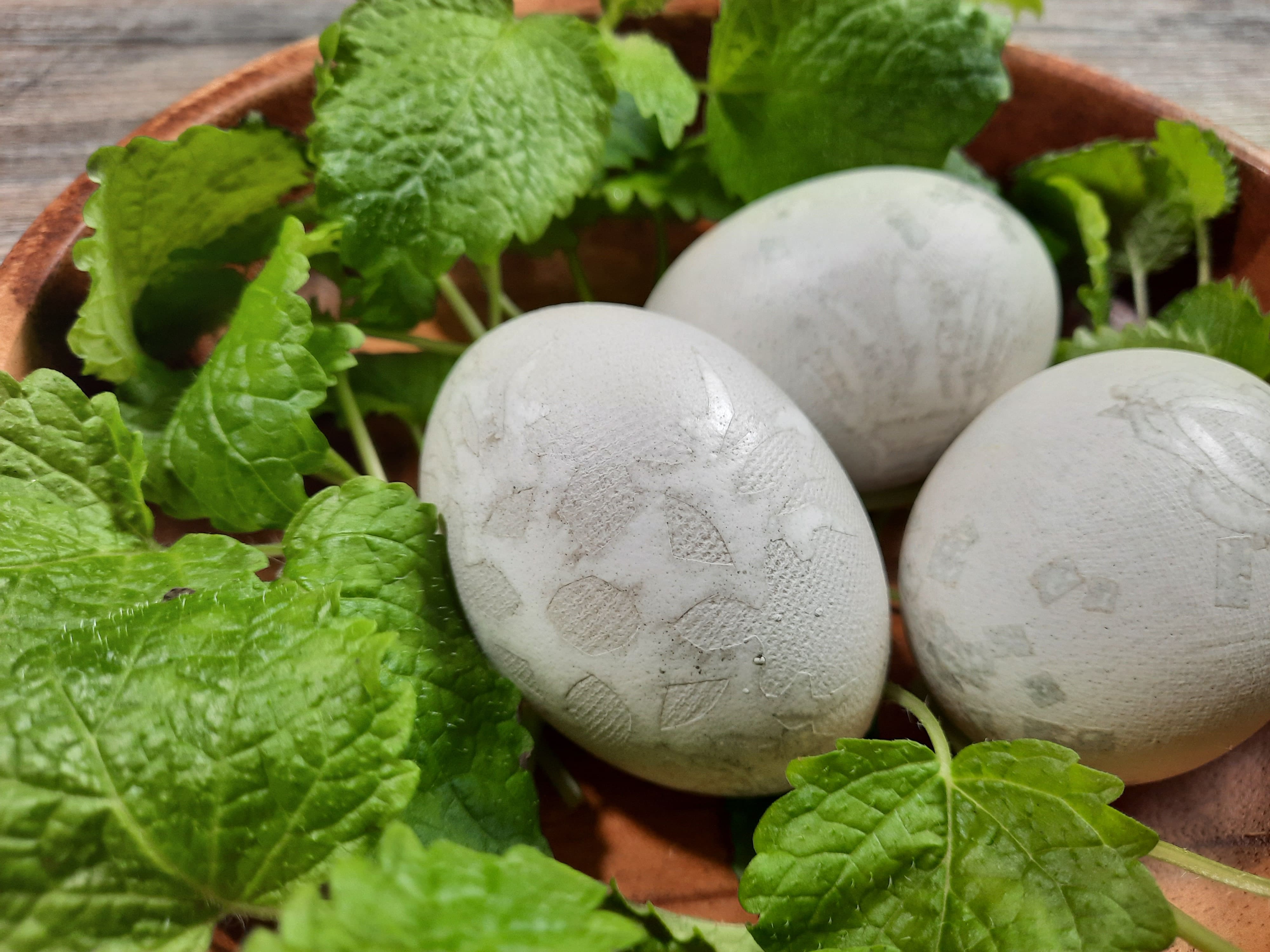 Любаша, что готовить?