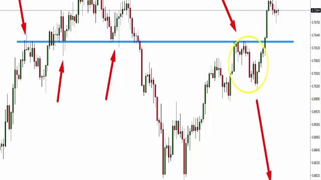 How To Trade - Trapped Traders® Daily Analysis - Buying AUD/CHF смотреть онлайн