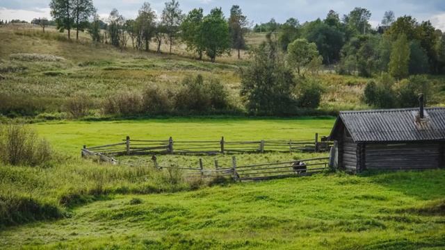 Так, глядишь, и твоя молитва до Бога дойдет. Преподобный Макарий Оптинский.