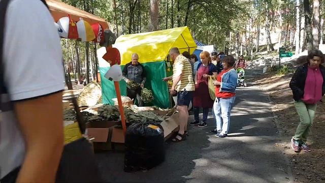 Общий обзор фестиваля "Иди в баню" смотреть онлайн