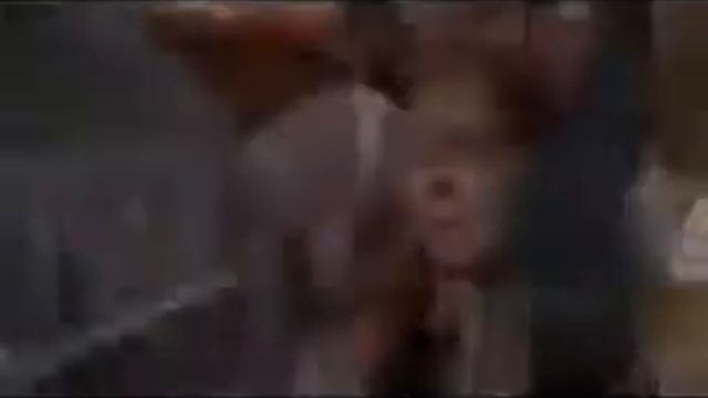 Bree And Orson - You'll Be In My Heart смотреть онлайн