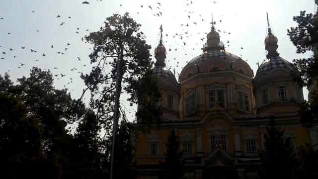 Парк 28 гвардейцев панфиловцев Полет голубей. Алматы смотреть онлайн