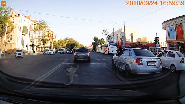 Выезд на встречную полосу и проезд на красный свет светофора смотреть онлайн