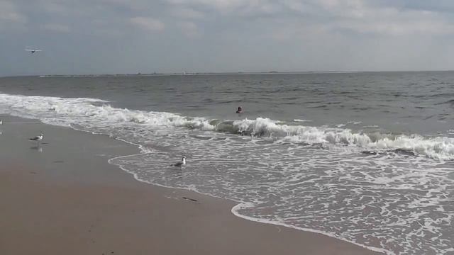 Брайтон-Бич 2011 смотреть онлайн